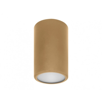 Cleo TB 170 lampa sufitowa 1 x E27 złota Temar Lighting