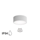Cleo 200 IP54 lampa sufitowa 1 x E27 szara z czujnikiem ruchu Temar Lighting