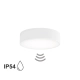 Cleo 300 IP54 lampa sufitowa 2 x E27 biała z czujnikiem ruchu Temar Lighting