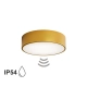 Cleo 300 IP54 lampa sufitowa 2 x E27 złota z czujnikiem ruchu Temar Lighting
