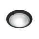 Berwick lampa sufitowa 1 x E27 BERWICK-F-BLACK Elstead Lighting