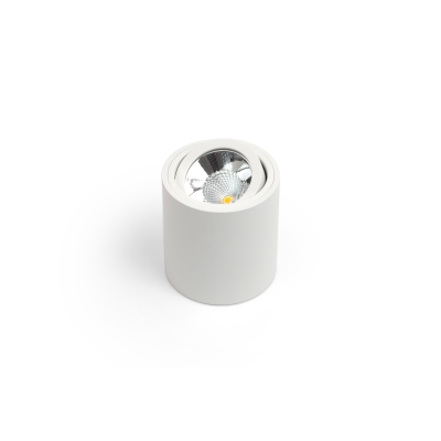 SASARI RO Ø9cm oprawa sufitowa LED 6W 430lm 3000K lub 4000K biała