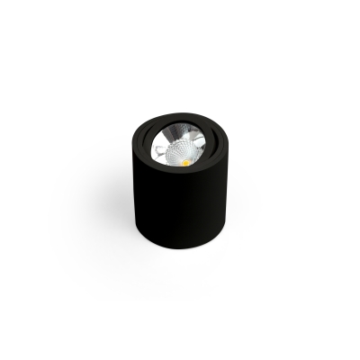 SASARI RO Ø12,1cm oprawa sufitowa LED 10W 816lm 3000K lub 4000K czarna